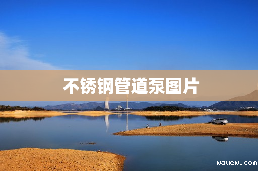  不锈钢管道泵图片