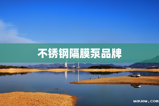 不锈钢隔膜泵品牌