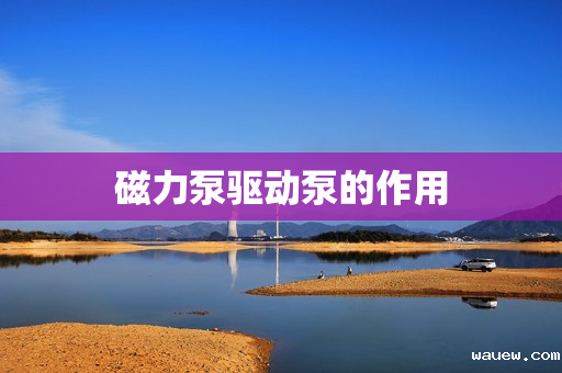 磁力泵驱动泵的作用