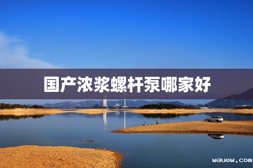 国产浓浆螺杆泵哪家好
