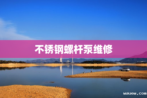 不锈钢螺杆泵维修