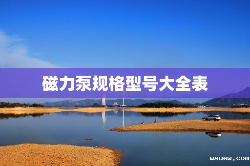 磁力泵规格型号大全表