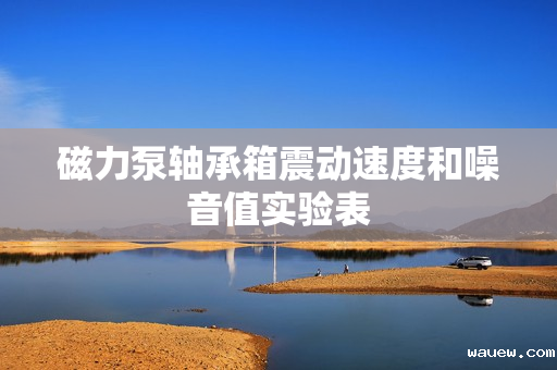 磁力泵轴承箱震动速度和噪音值实验表