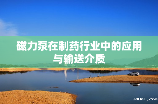 磁力泵在制药行业中的应用与输送介质