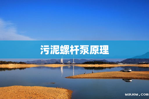 污泥螺杆泵原理