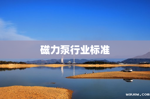 磁力泵行业标准