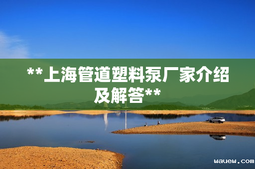 **上海管道塑料泵厂家介绍及解答**