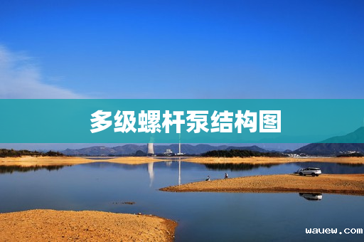  多级螺杆泵结构图