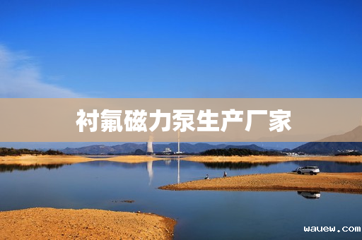  衬氟磁力泵生产厂家