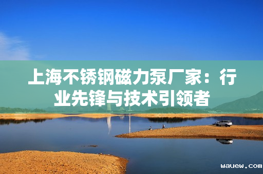 上海不锈钢磁力泵厂家：行业先锋与技术引领者