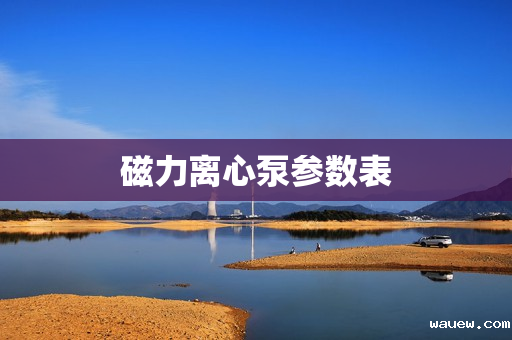 磁力离心泵参数表