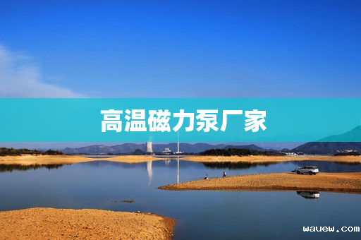  高温磁力泵厂家