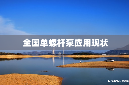  全国单螺杆泵应用现状