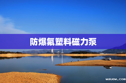 防爆氟塑料磁力泵