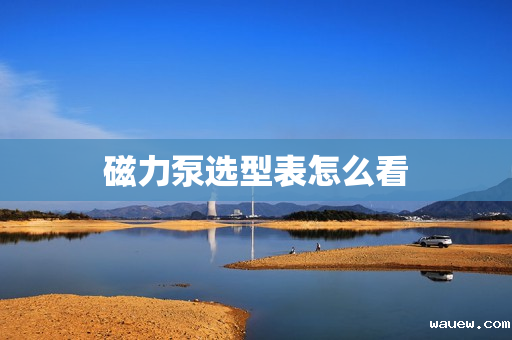 磁力泵选型表怎么看