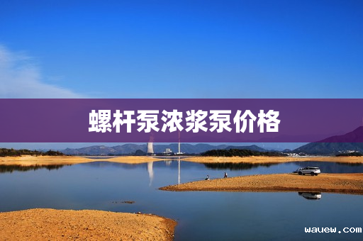  螺杆泵浓浆泵价格