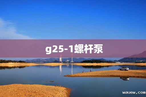  g25-1螺杆泵