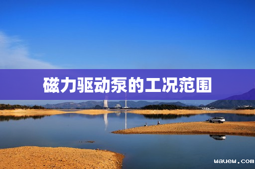 磁力驱动泵的工况范围