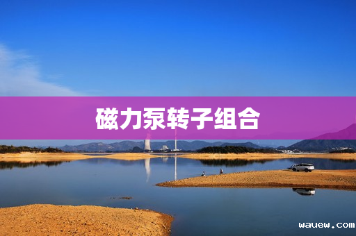 磁力泵转子组合