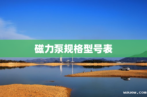 磁力泵规格型号表