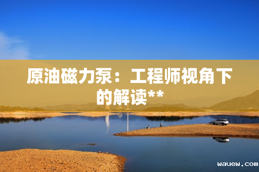 原油磁力泵：工程师视角下的解读**