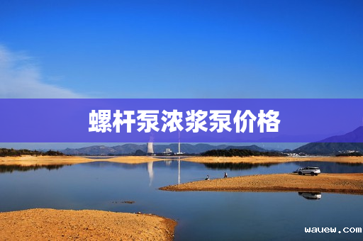  螺杆泵浓浆泵价格