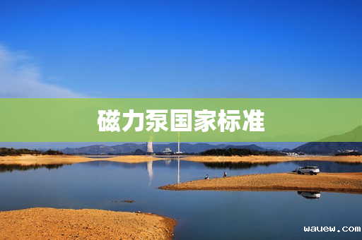 磁力泵国家标准