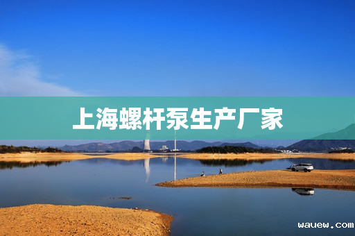 上海螺杆泵生产厂家