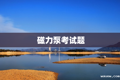  磁力泵考试题