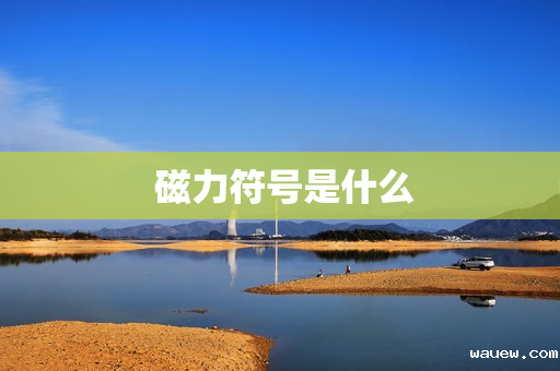  磁力符号是什么