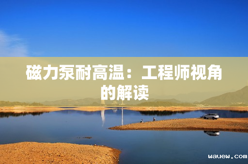 磁力泵耐高温：工程师视角的解读