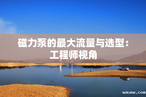 磁力泵的最大流量与选型：工程师视角