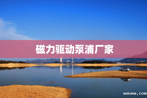  磁力驱动泵浦厂家