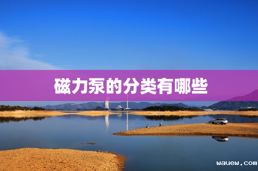  磁力泵的分类有哪些