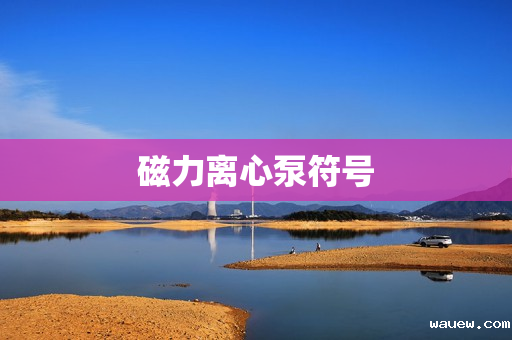 磁力离心泵符号