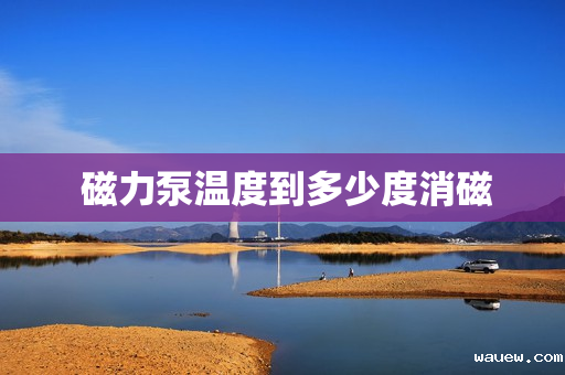  磁力泵温度到多少度消磁