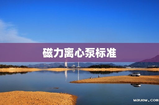 磁力离心泵标准