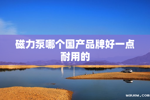 磁力泵哪个国产品牌好一点耐用的