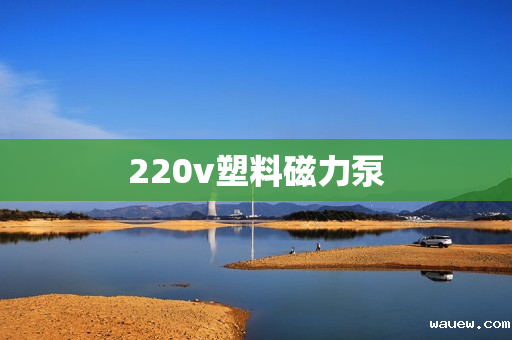 220v塑料磁力泵