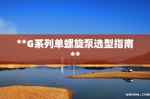 **G系列单螺旋泵选型指南**