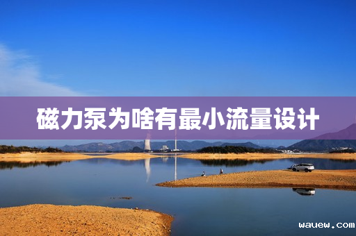 磁力泵为啥有最小流量设计