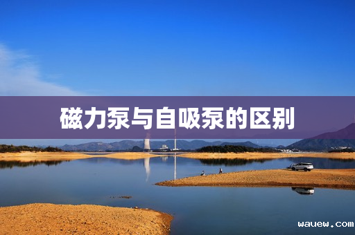 磁力泵与自吸泵的区别