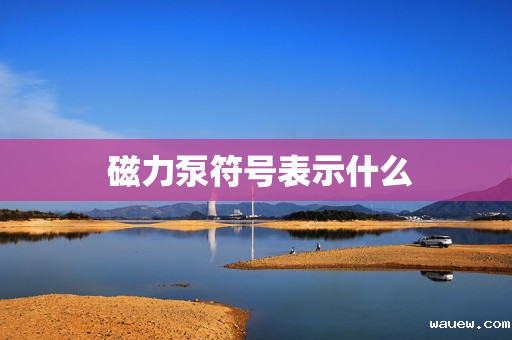  磁力泵符号表示什么