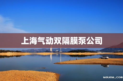 上海气动双隔膜泵公司