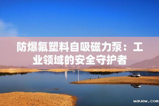 防爆氟塑料自吸磁力泵：工业领域的安全守护者