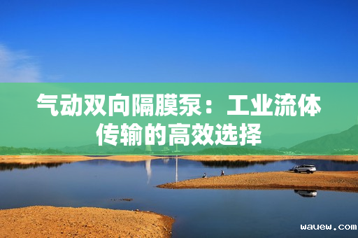 气动双向隔膜泵：工业流体传输的高效选择