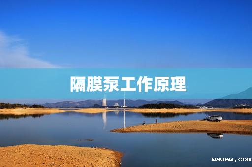  隔膜泵工作原理