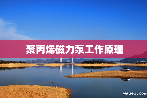  聚丙烯磁力泵工作原理