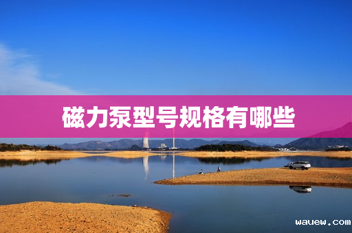  磁力泵型号规格有哪些