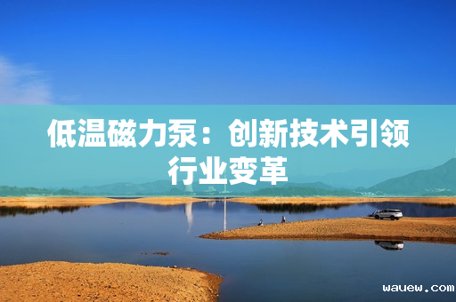 低温磁力泵：创新技术引领行业变革